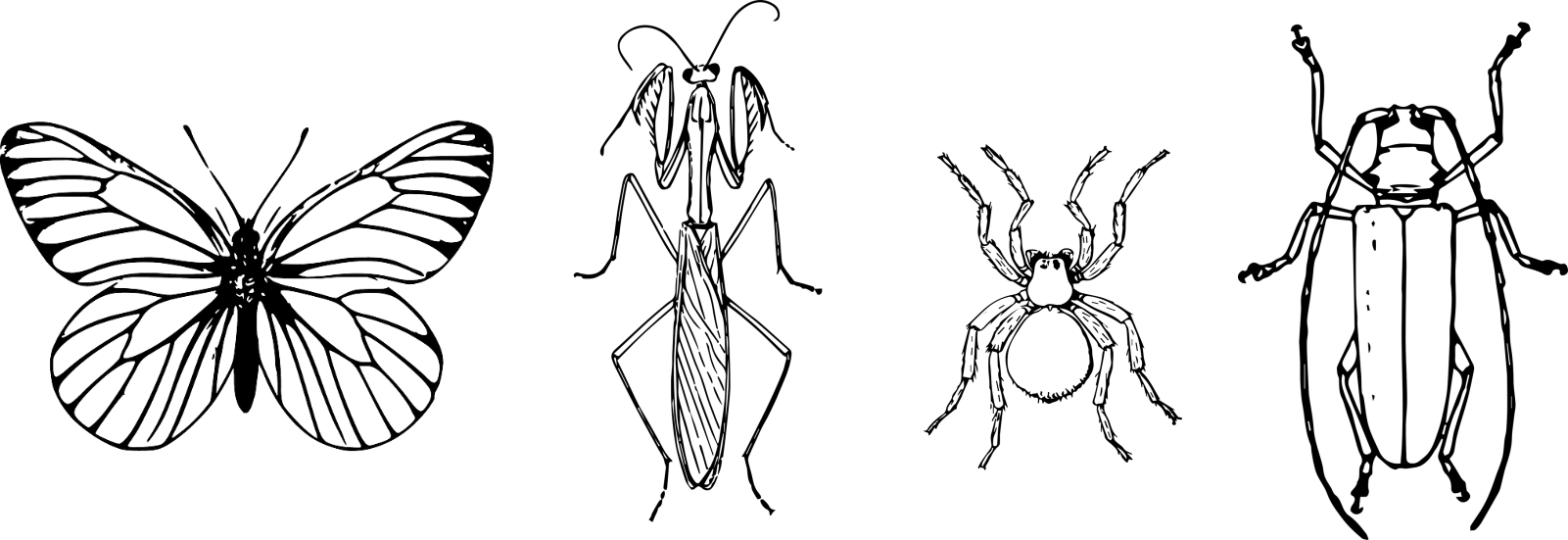 Home Entomological labels